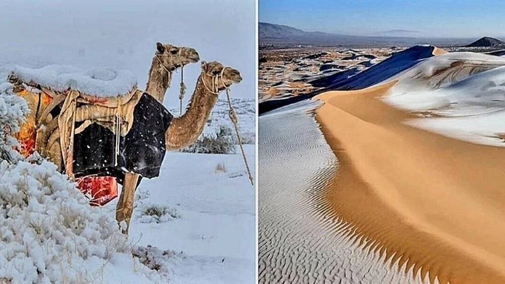 Алжирские студенты брянского университета сообщили о снегопадах в Африке