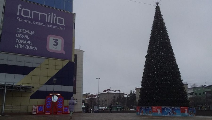 В Бежицком районе Брянске на площади возле ТРЦ «БУМ-сити» установили новогоднюю ёлку