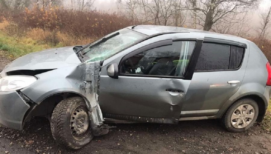 Под Выгоничами 38-летняя автомобилистка на Renault врезалась в столб и разбила себе голову