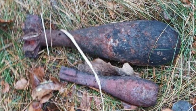 В Выгоничском районе брянцев напугали три мины в поле и на приусадебном участке