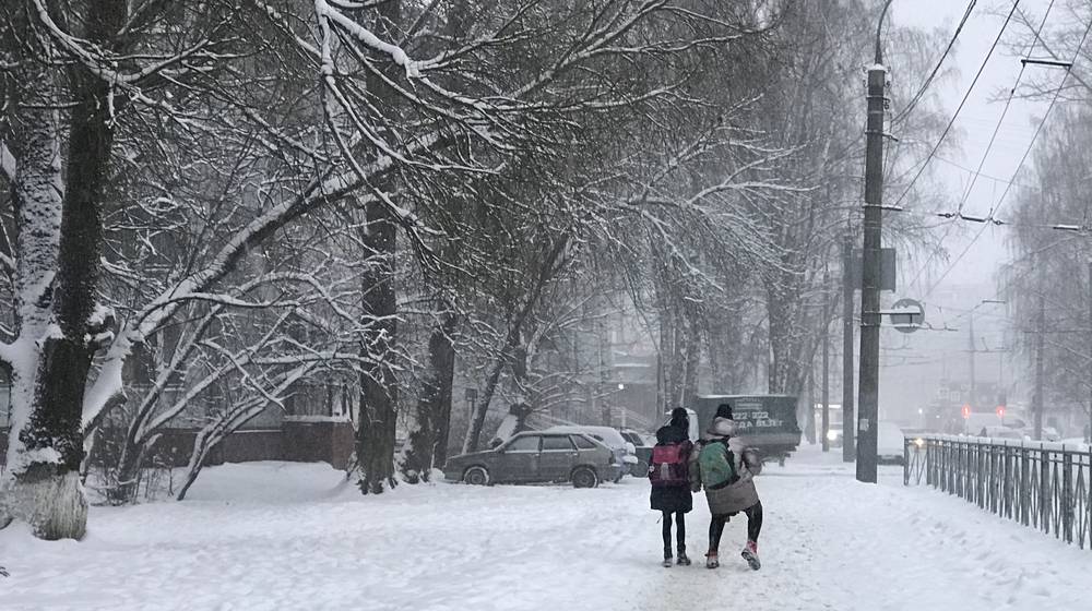 В Брянской области 25 января ожидается небольшой снег при 9 градусах мороза