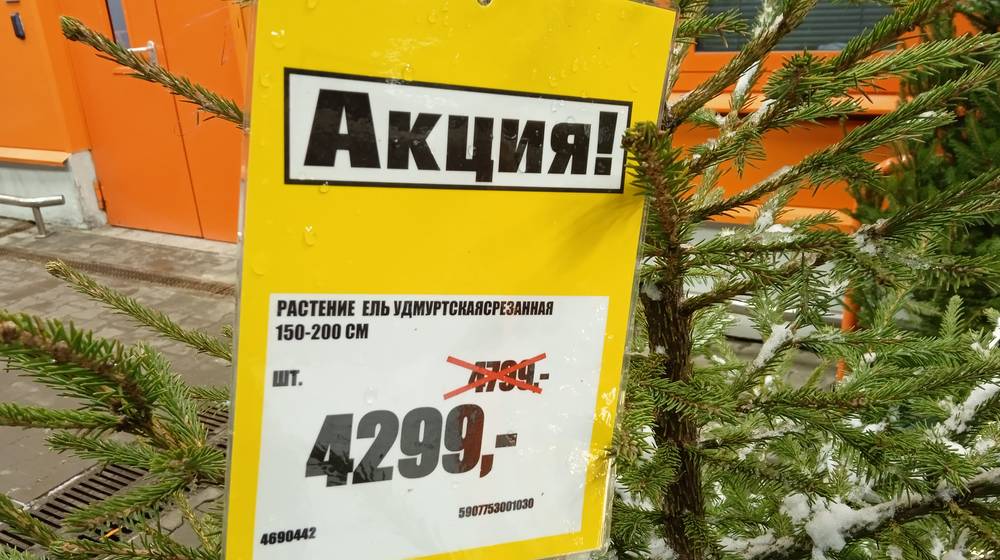 В Брянске в гипермаркете «ОБИ» за «растение ель» потребовали 4799 рублей