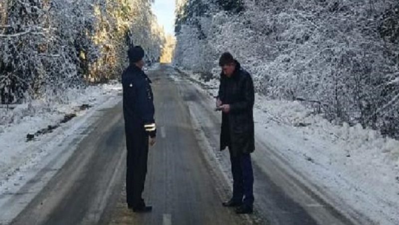 Главному брянскому дорожнику велели убрать деревья вдоль трасс в Клинцовском районе