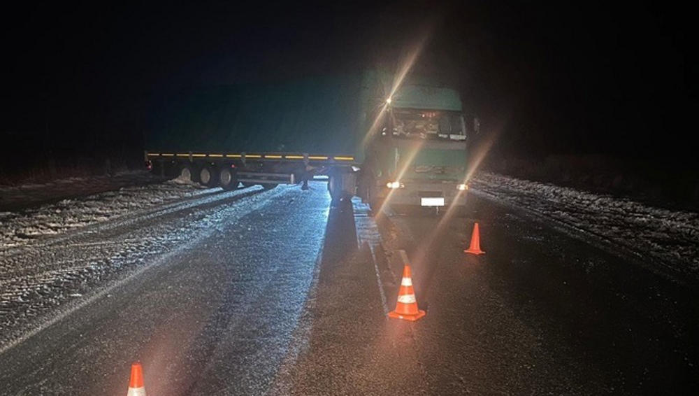 На брянской трассе ночью водитель фуры сбил пьяного 39-летнего пешехода