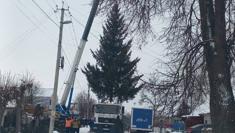 В Брянске сняли видео погрузки елки, которая украсит площадь возле ДК Медведева