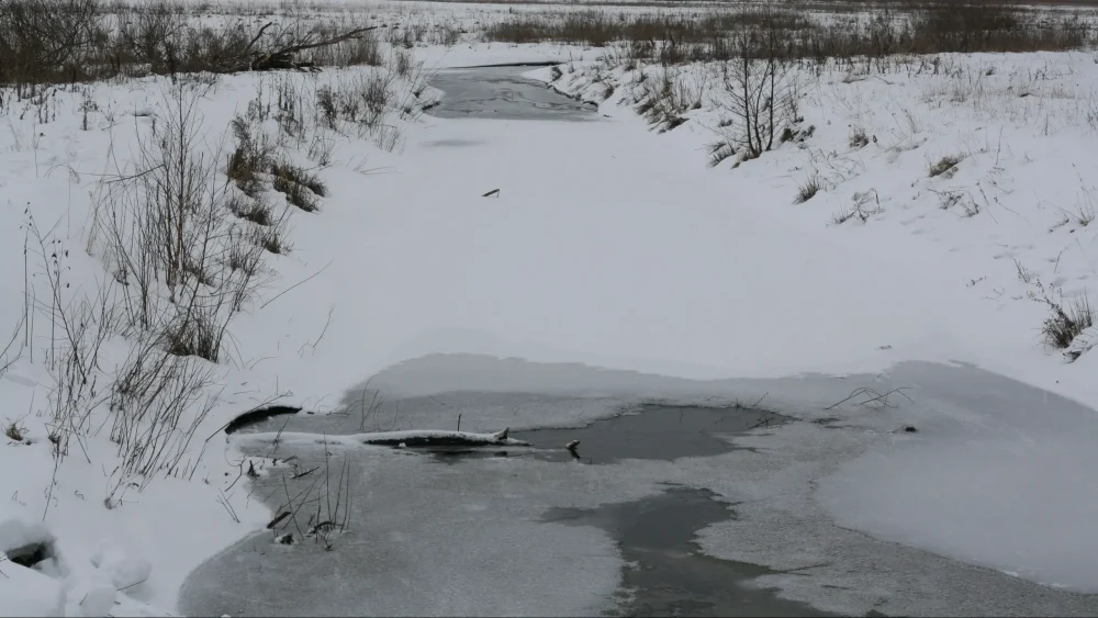 На водоемах Брянска в местах массового выхода людей образовался лед толщиной до 10 см