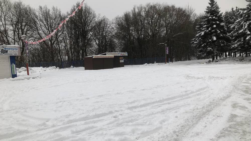 Брянский парк «Соловьи» превратился в снежные и ледяные препятствия