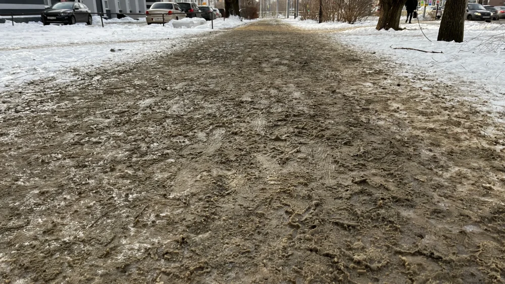 После скользких тротуаров в Брянске настала череда грязных тропинок