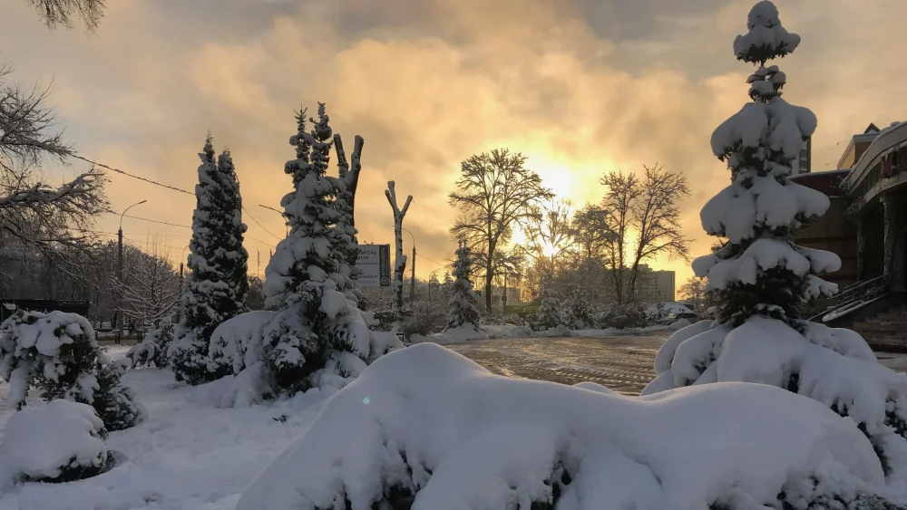 Жителям Брянской области на старый Новый год пообещали морозную погоду