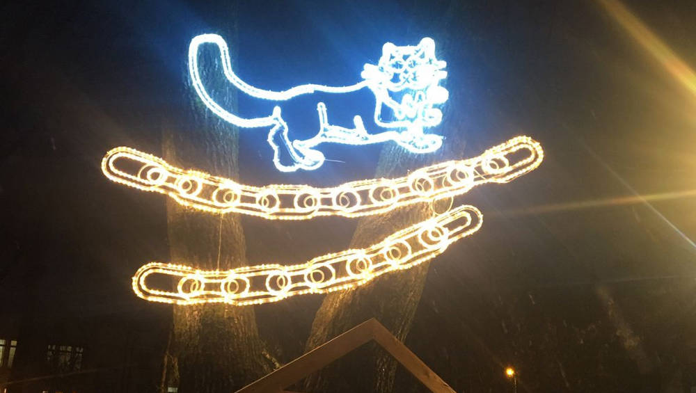 В Брянске в Круглом сквере появился светящийся Кот ученый