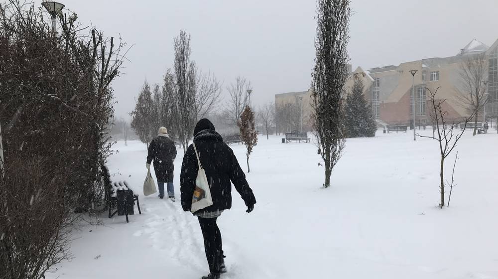 В Брянскую область 27 декабря вернутся сильные снегопады при 4 градусах тепла
