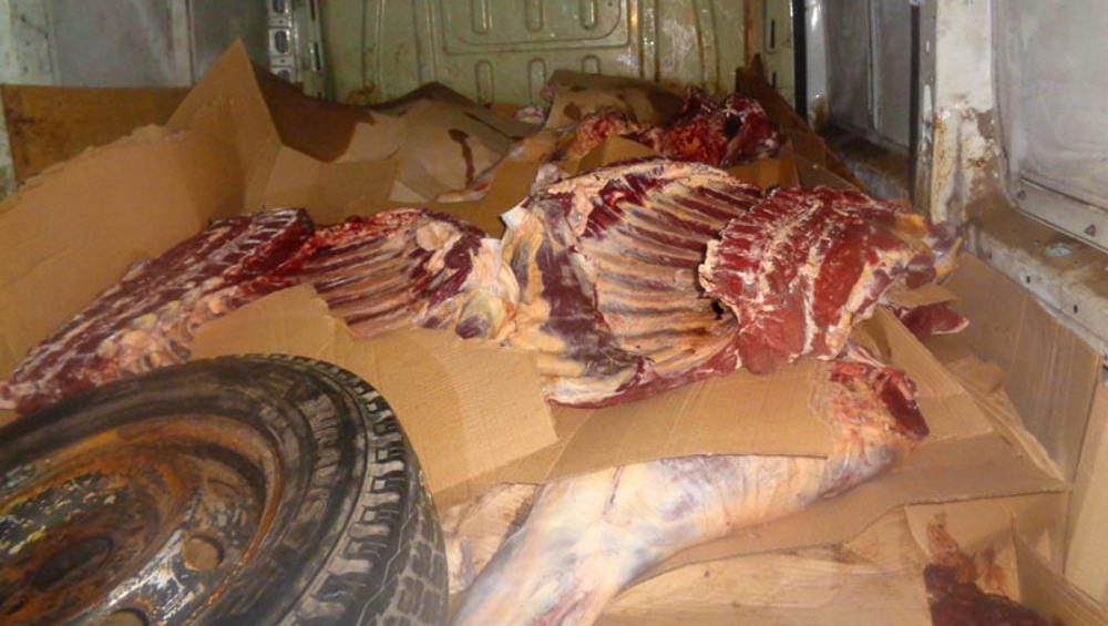 В Брянской области в машине из Белоруссии обнаружили тонну подозрительного мяса