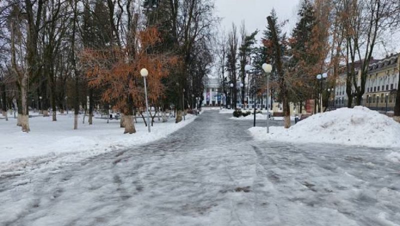 Жителей Бежицкого района Брянска возмутило безобразие в парке Пушкина