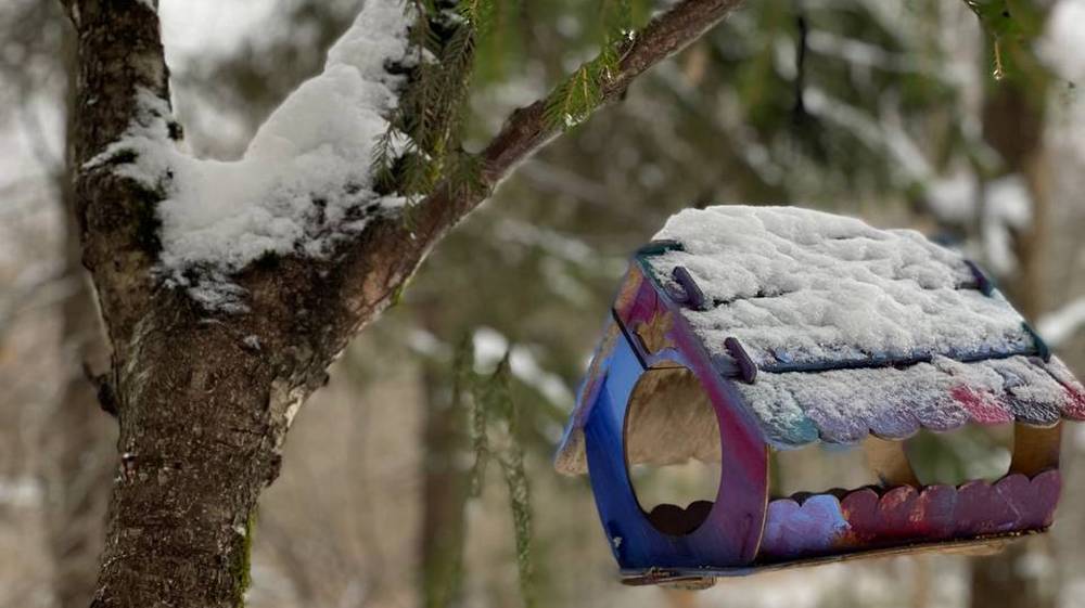 В воскресенье в Брянской области обещали обилие осадков – дождь и снег