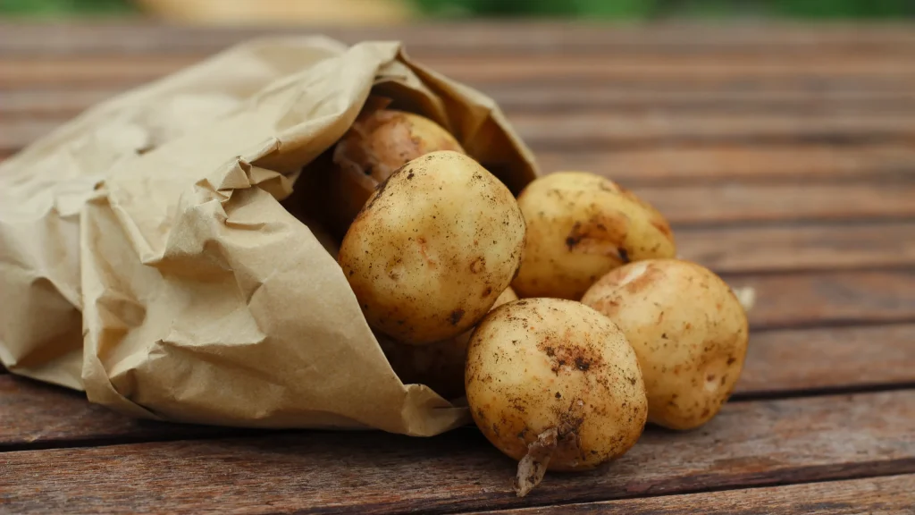 Брянский фермер предложил заключать государственные контракты на поставку картофеля