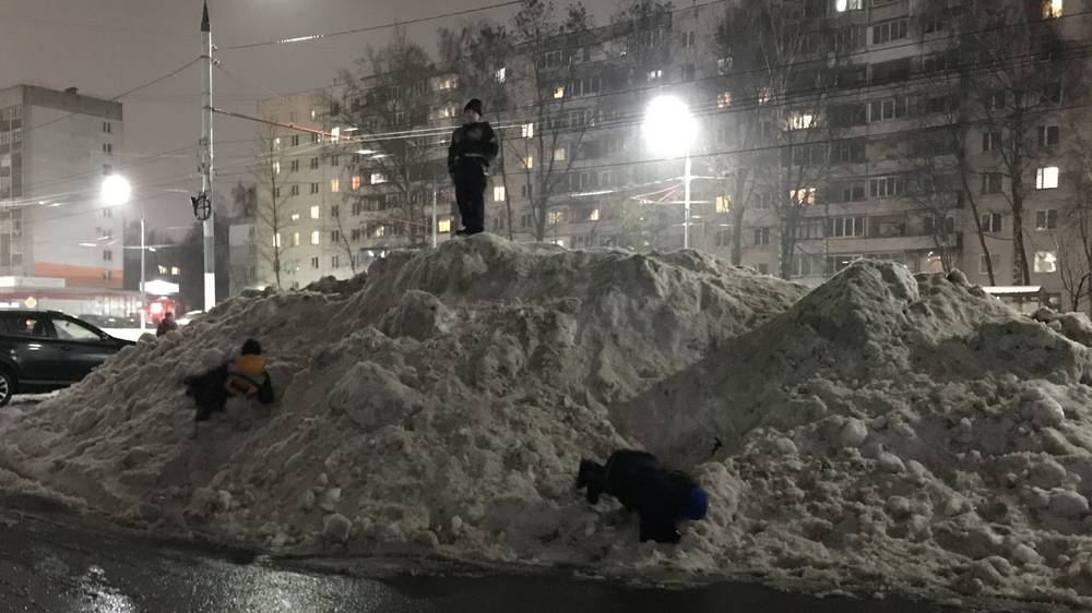 В Брянской области к выходным потеплеет до 2 градусов при обильных снегопадах
