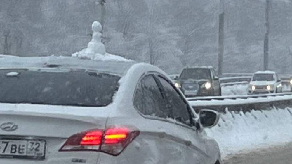 Жителей Брянска умилил прокатившийся на крыше легкового автомобиля снеговик