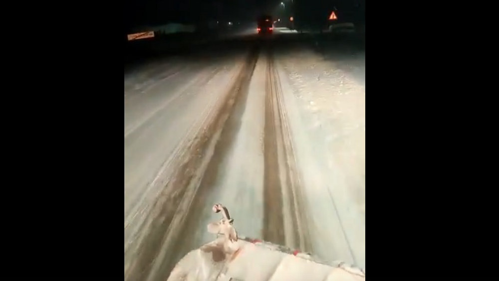 В Брянской области для очистки дорог от снега задействовали 251 единицу техники