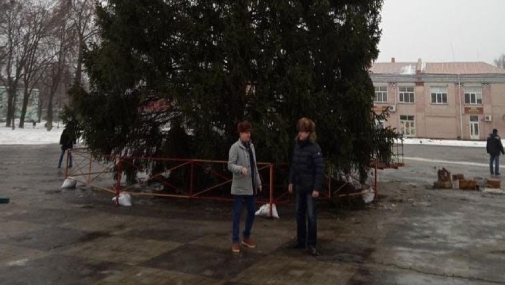 В брянском Стародубе на центральной площади города установили 25-метровую ель
