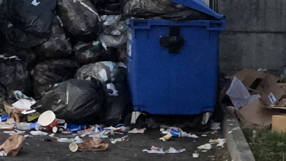 В Брянской области «Чистый город» наказали за невывоз мусора в Навлинском районе