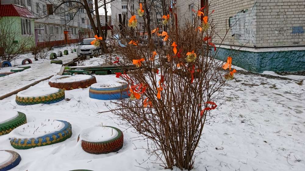 Жители Брянска решили встретить старый Новый год с украшенными кустарниками