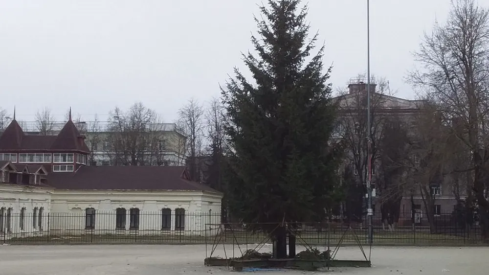 В Бежицком районе Брянска на площади возле ДК БМЗ «раздели» новогоднюю ёлку