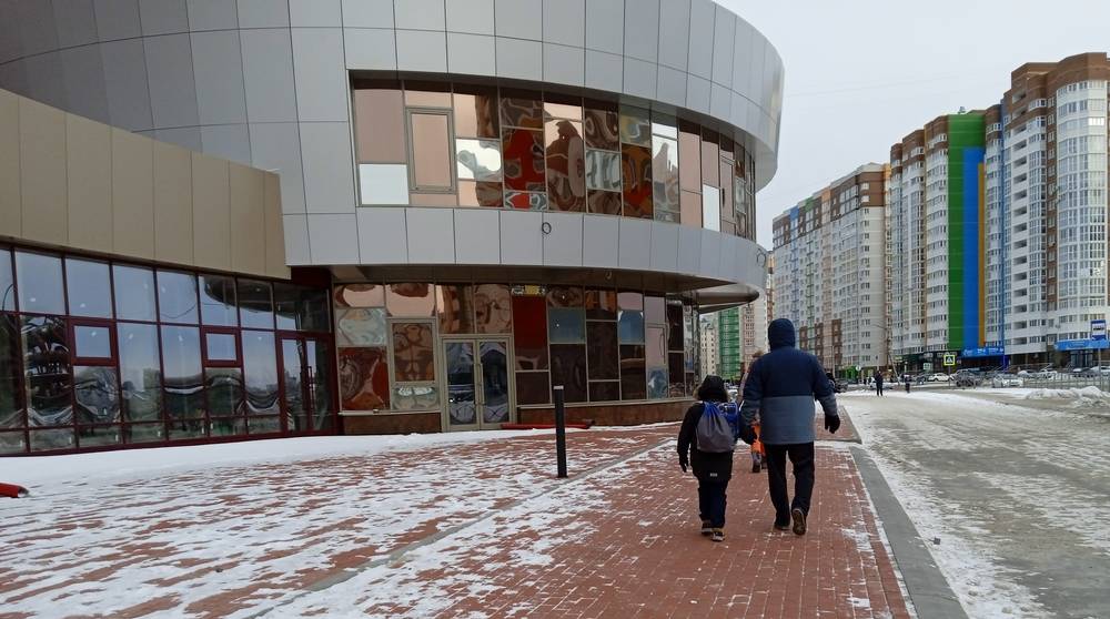В Брянской области 14 января пройдет небольшой снег при 1 градусе тепла