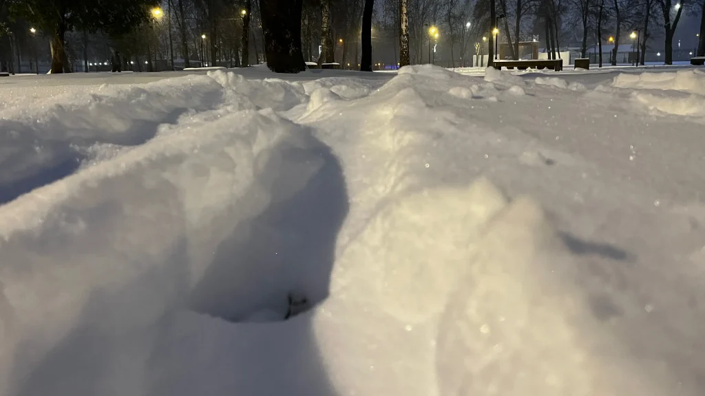 В воскресенье, 8 января, в Брянской области сохранится сухая и морозная погода