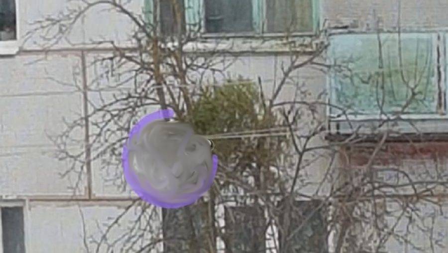 В Клинцах Брянской области после праздников из окна многоэтажки выбросили новогоднюю ёлку
