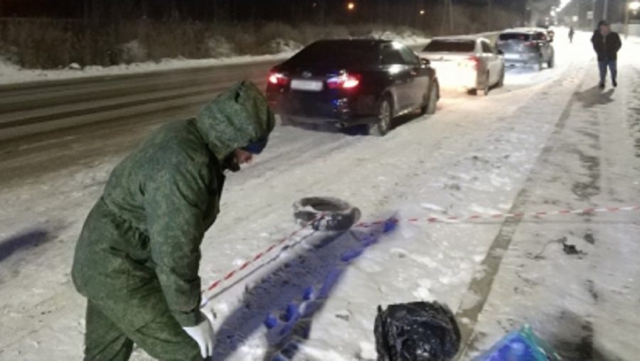 СК возбудил дело по факту убийства новорожденного, тело которого нашли у дороги в Брянске