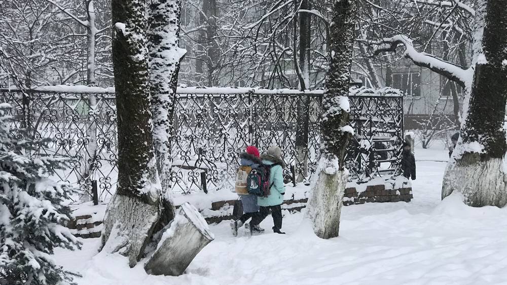 В последний день осени Брянской области пообещали небольшой снег и оттепель