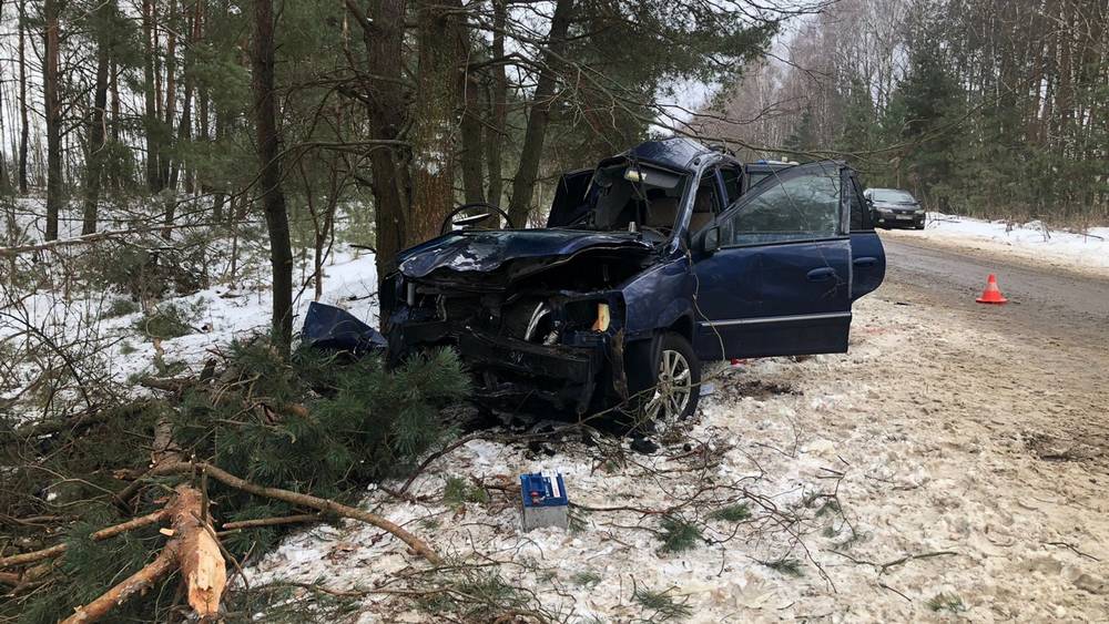 В Новозыбкове 19-летнего водителя отправили в колонию за гибель двоих пассажиров в ДТП