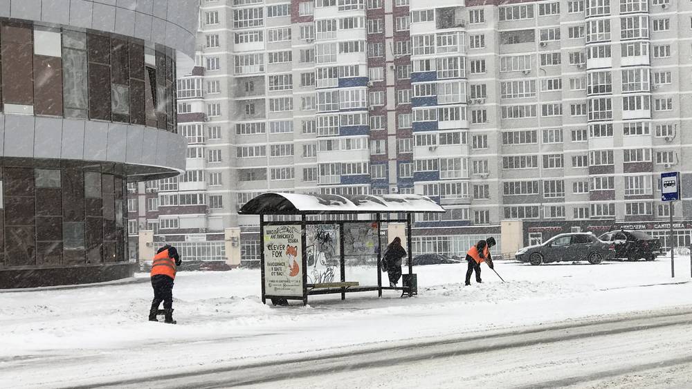 В Брянской области 3 февраля синоптики пообещали снег и гололедицу при 2 градусах тепла