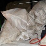 Брянские таможенники обнаружили в багажнике автомобиля трех павлинов в мешках