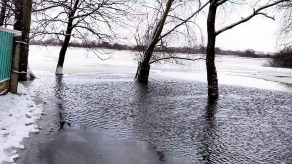 В Брянской области из-за январского паводка затопило 25 приусадебных участков
