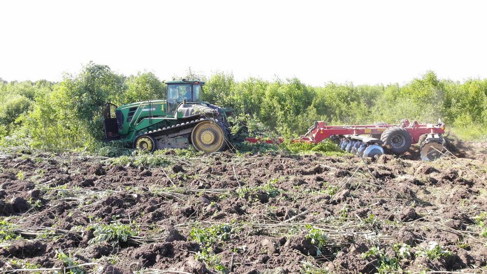 В 2022 году в Брянской области ввели в сельхозоборот 30 тысяч гектаров заброшенных земель