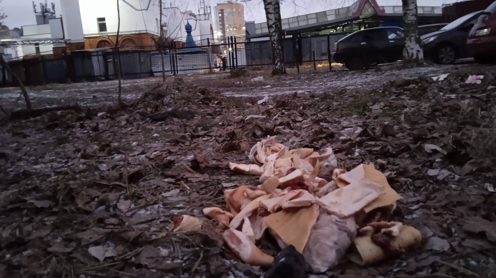 В Брянске возле рынка на Авиационной выбросили гору мяса − собаки отказались его есть