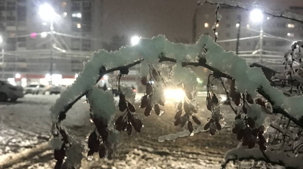 В Брянской области 17 января ожидаются дождь со снегом, гололедица и 4-градусное тепло