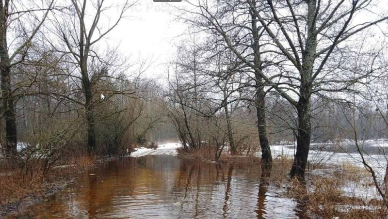 В Почепе Брянской области из-за весеннего паводка затопило 11 домов