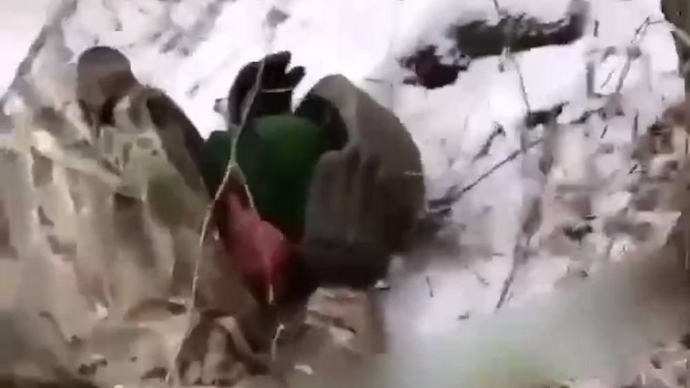 В сети опубликовано видео зверского расстрела бандеровцами пленных российских бойцов