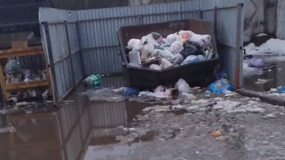 Бери больше − кидай дальше: мусорная реформа стала издевательством над жителями Брянска