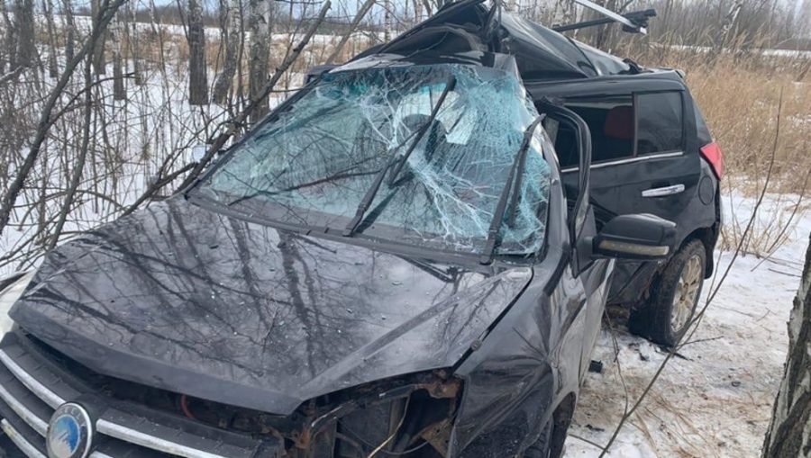 В Брянской области погиб на месте врезавшийся в дерево 54-летний автомобилист