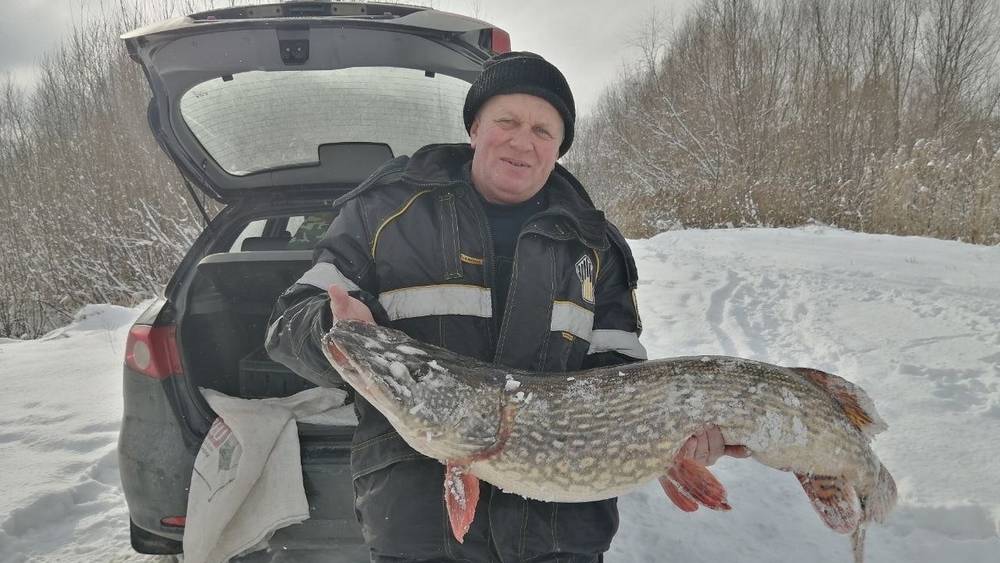 В Брянске рыбак выловил в озере Барсучья Грива щуку весом более 10 килограммов