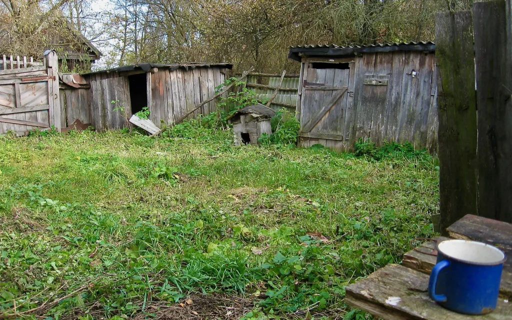 Рогнединский и Мглинский районы стали самыми быстровымирающими районами Брянской области