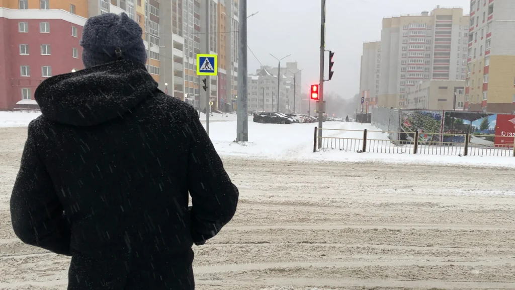 Жителей Брянской области предупредили о сильном ветре и налипании мокрого снега