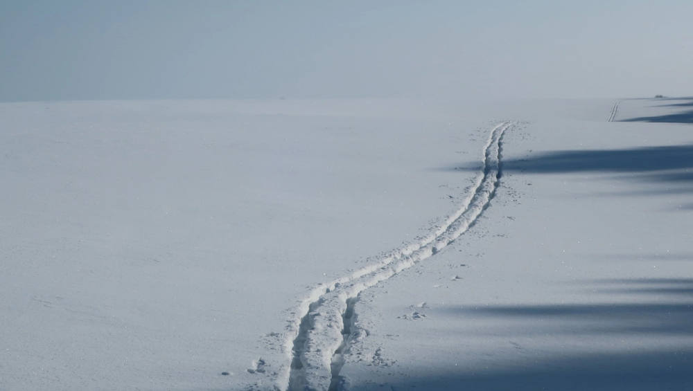 Брянец сделал удивительно красивое фото лыжни, затерявшейся на заснеженных просторах