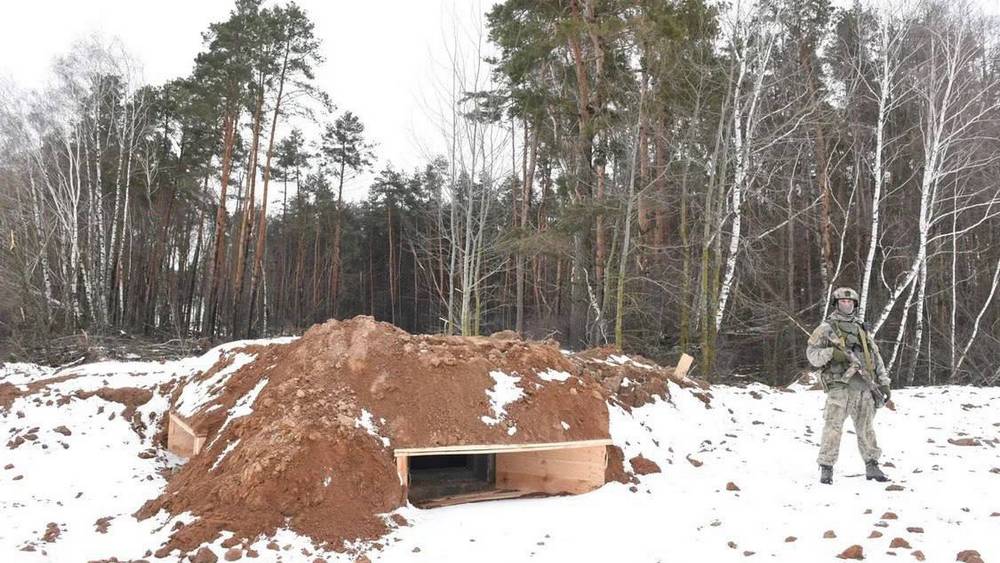 На линию обороны в Брянской области потребовалось 12 тысяч кубометров пиломатериалов