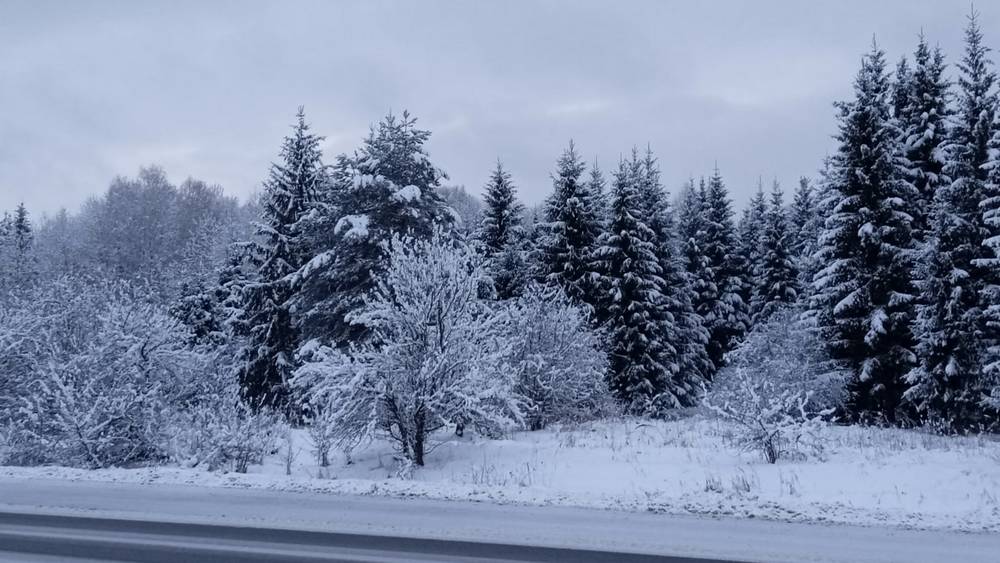 В Брянской области 6 февраля пройдет снег и ночью похолодает до 9 градусов мороза