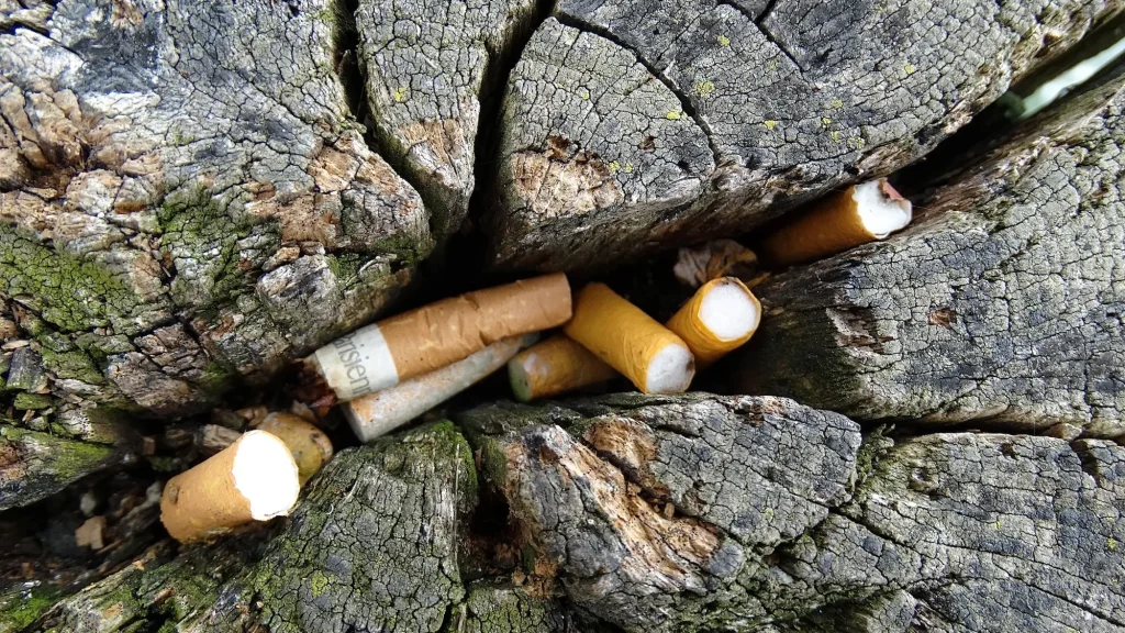 Жителям Брянской области сообщили о подорожании сигарет с 1 января 2024 года