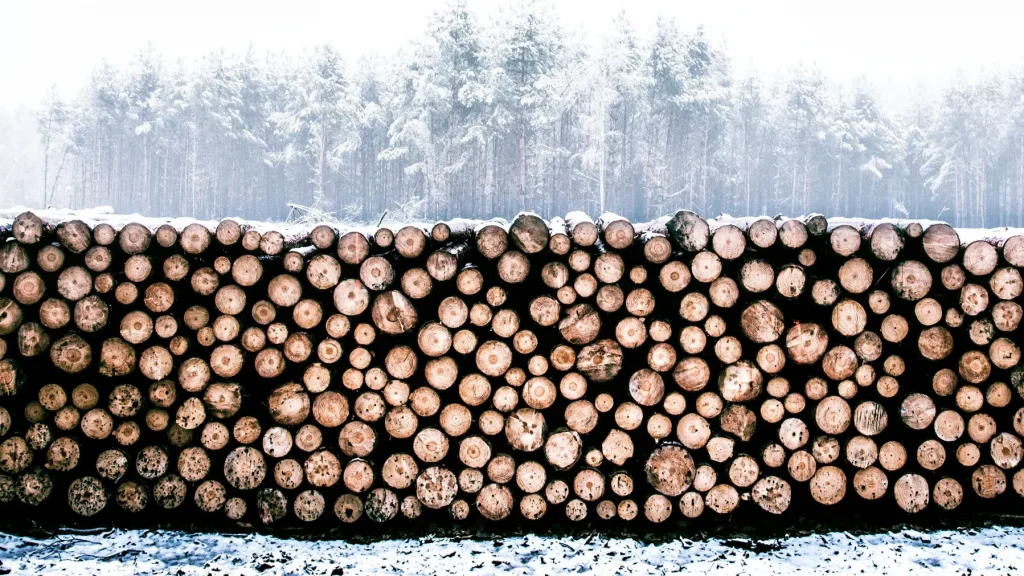В Брянской области в этом году задержали шесть лесовозов с незаконно вывезенной древесиной